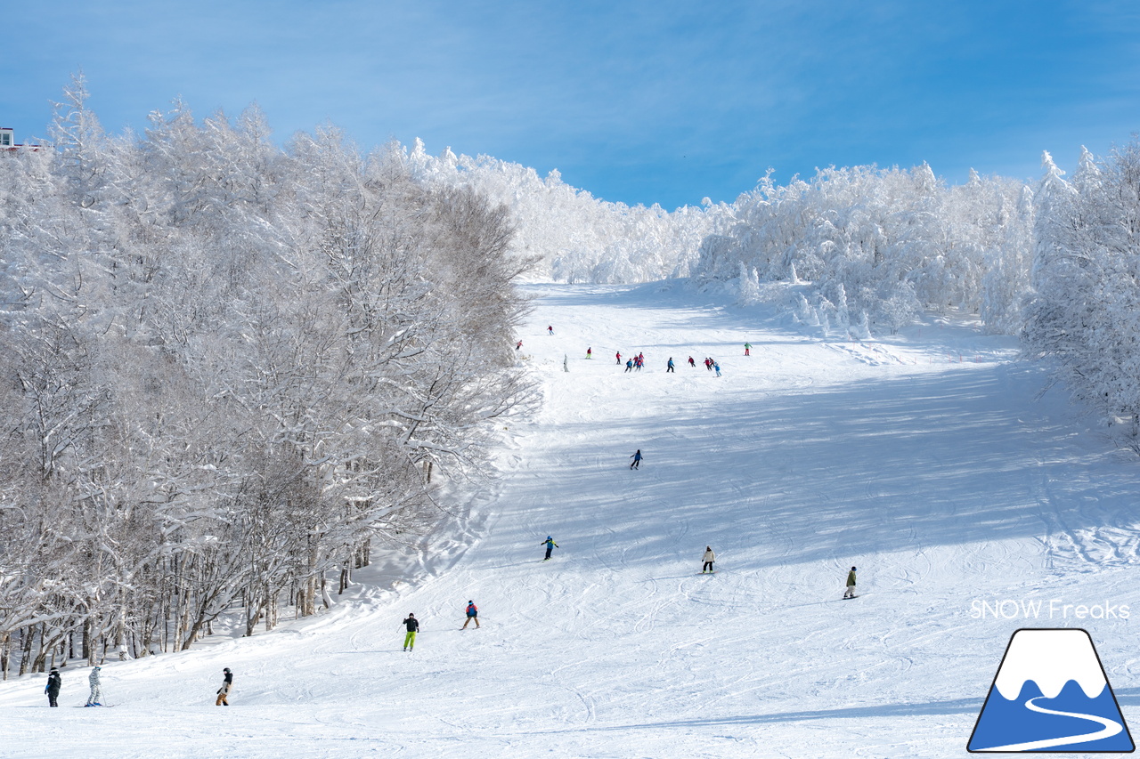 カムイスキーリンクス｜この上ないほど澄んだ青空と極上のパウダースノー。やっぱり『カムイ』は外れない！